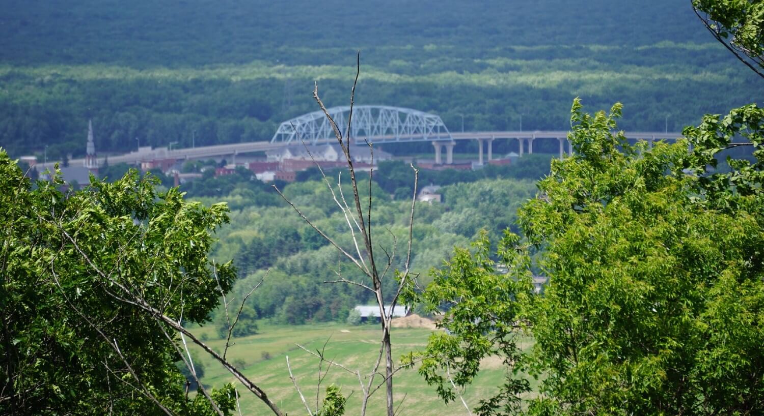 View of lush green valley full of trees with a large bridge in the middle
